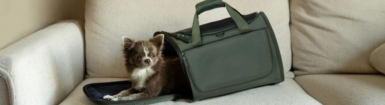 Welche Tiertragetasche sollten Sie f&uuml;r das Reisen mit Ihrem Hund oder Ihrer Katze w&auml;hlen? Vollst&auml;ndiger Leitfaden 2026